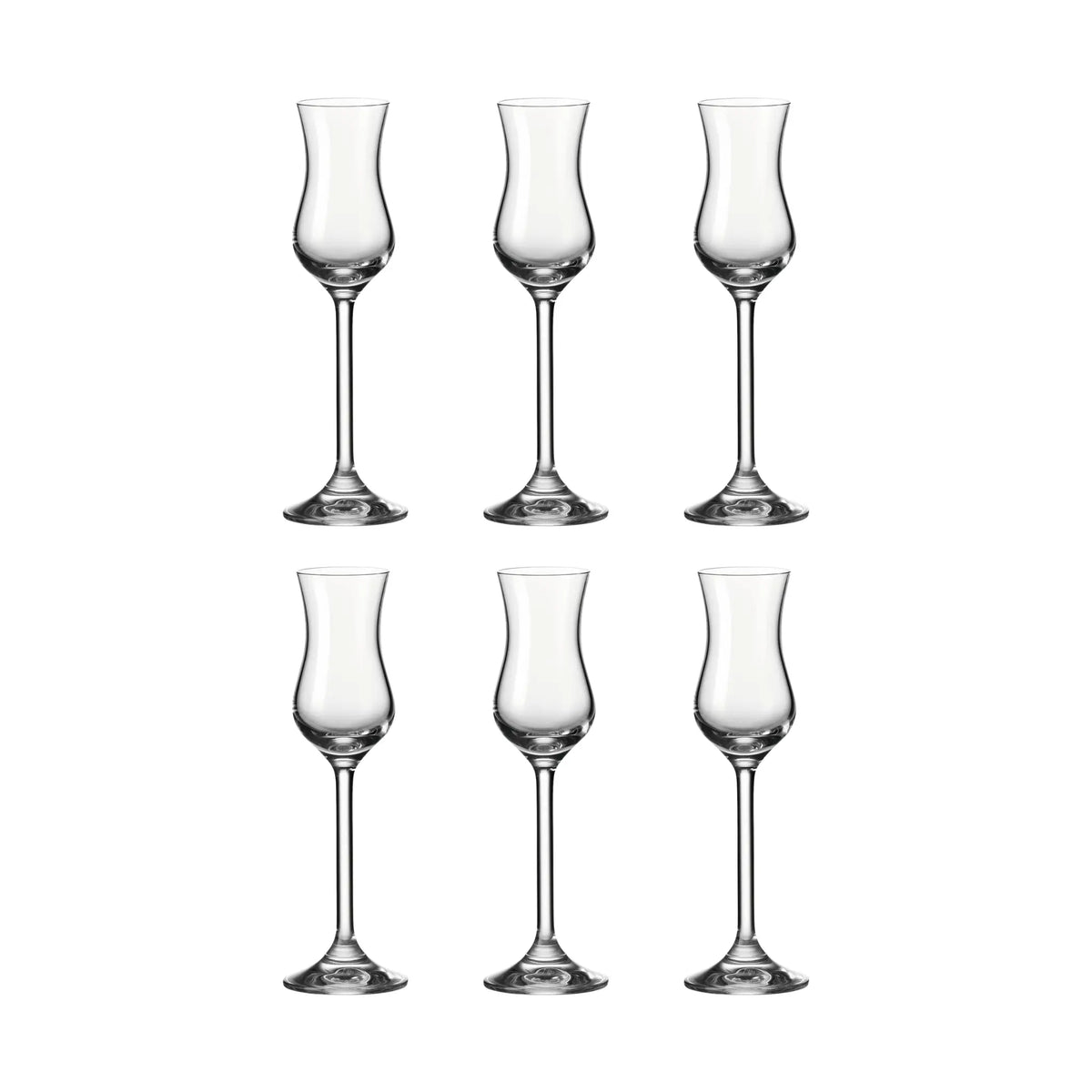 Leonardo Grappaglas 100 ml Daily 6-pack