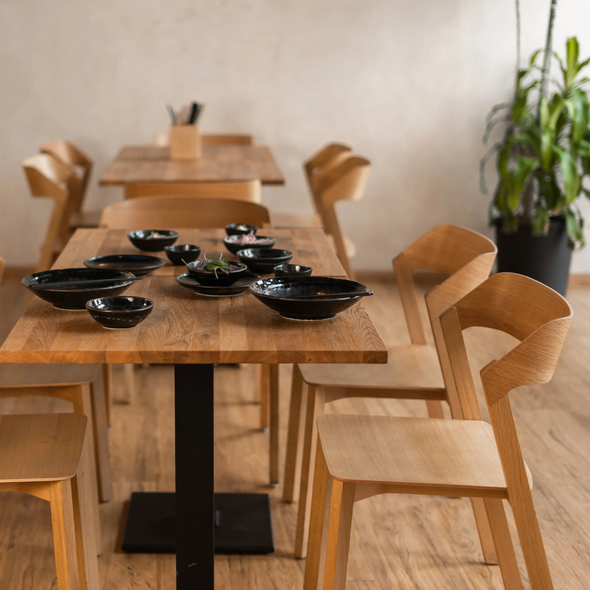 Ton Merano Stol, Black Grain