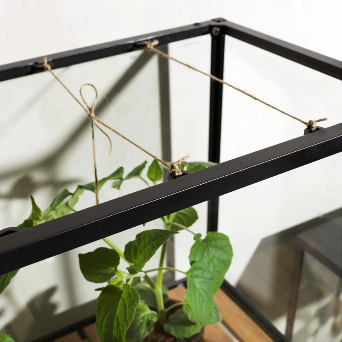 Brafab Grower Greens Växtskåp, Svart